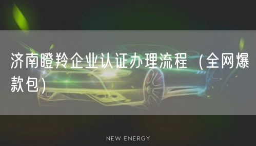 济南瞪羚企业认证办理流程（全网爆款包）