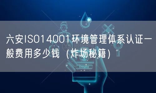 六安ISO14001环境管理体系认证一般费用多少钱（炸场秘籍）