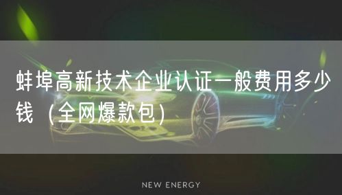 蚌埠高新技术企业认证一般费用多少钱（全网爆款包）