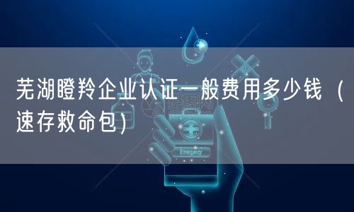 芜湖瞪羚企业认证一般费用多少钱（一站式服务）