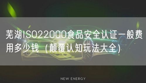 芜湖ISO22000食品安全认证一般费用多少钱（颠覆认知玩法大全）