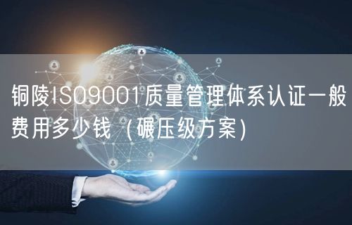 铜陵ISO9001质量管理体系认证一般费用多少钱（碾压级方案）