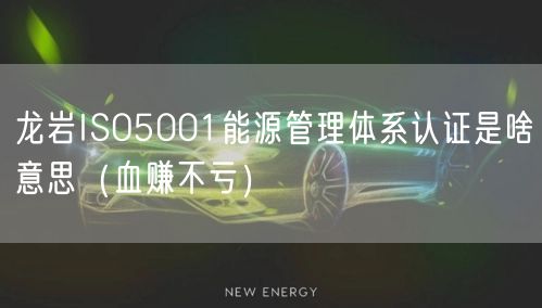 龙岩ISO5001能源管理体系认证是啥意思（血赚不亏）