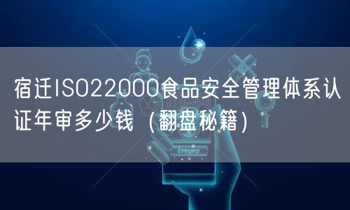 宿迁ISO22000食品安全管理体系认证年审多少钱（翻盘秘籍）