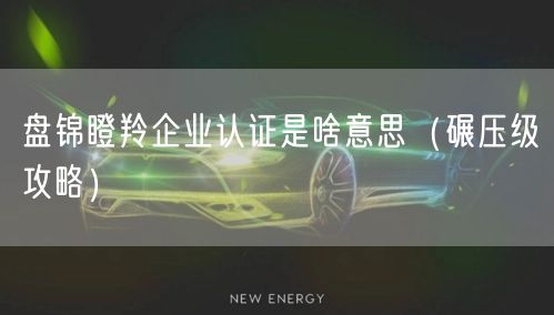 盘锦瞪羚企业认证是啥意思（碾压级攻略）