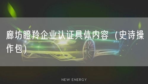 廊坊瞪羚企业认证具体内容（史诗操作包）