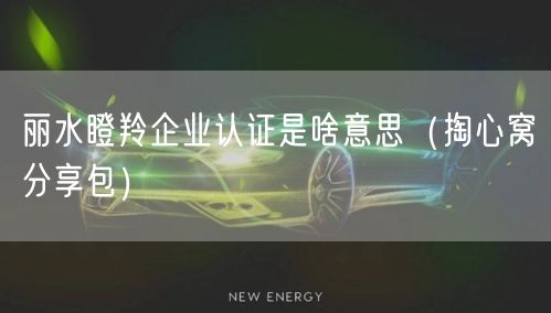 丽水瞪羚企业认证是啥意思（掏心窝分享包）