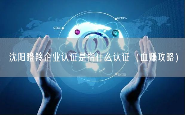 沈阳瞪羚企业认证是指什么认证（血赚攻略）