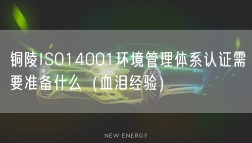 铜陵ISO14001环境管理体系认证需要准备什么（血泪经验）