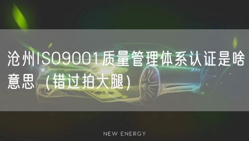 沧州ISO9001质量管理体系认证是啥意思（错过拍大腿）