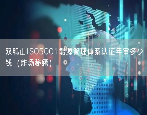 双鸭山ISO5001能源管理体系认证年审多少钱（炸场秘籍）