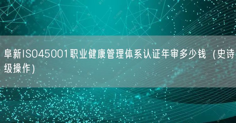 阜新ISO45001职业健康管理体系认证年审多少钱（史诗级操作）