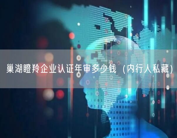 巢湖瞪羚企业认证年审多少钱（内行人私藏）