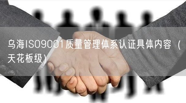 乌海ISO9001质量管理体系认证具体内容（天花板级）