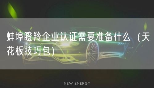蚌埠瞪羚企业认证需要准备什么（天花板技巧包）