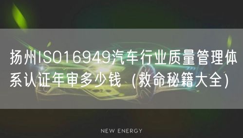 扬州ISO16949汽车行业质量管理体系认证年审多少钱（救命秘籍大全）