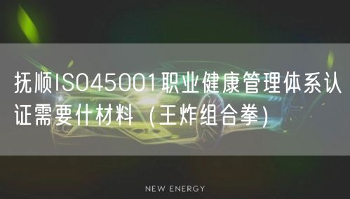 抚顺ISO45001职业健康管理体系认证需要什材料（王炸组合拳）