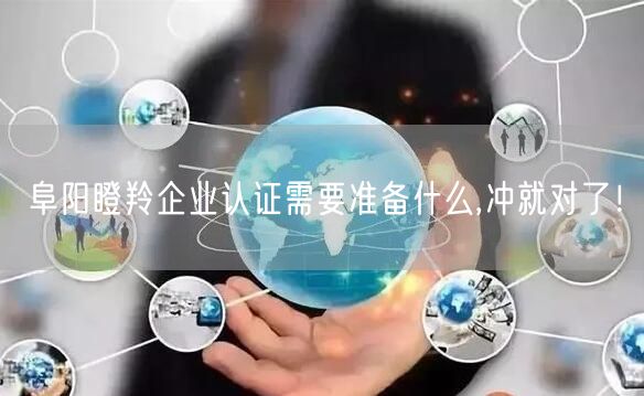 阜阳瞪羚企业认证需要准备什么,冲就对了！