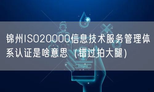 锦州ISO20000信息技术服务管理体系认证是啥意思（错过拍大腿）