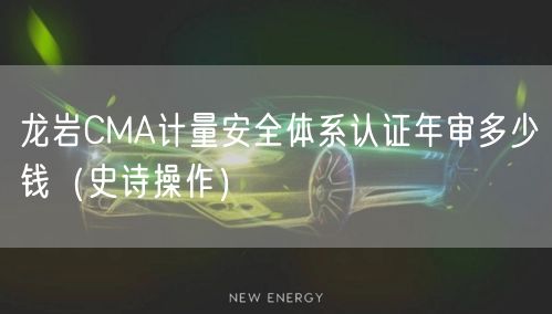 龙岩CMA计量安全体系认证年审多少钱（史诗操作）