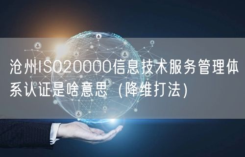 沧州ISO20000信息技术服务管理体系认证是啥意思（降维打法）