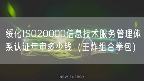 绥化ISO20000信息技术服务管理体系认证年审多少钱（王炸组合拳包）