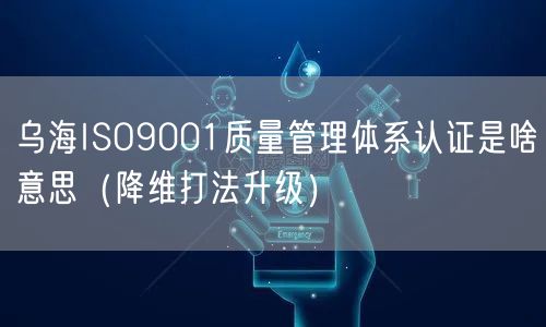 乌海ISO9001质量管理体系认证是啥意思（降维打法升级）