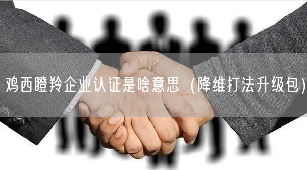 鸡西瞪羚企业认证是啥意思（降维打法升级包）
