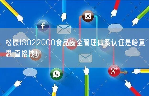 松原ISO22000食品安全管理体系认证是啥意思,直接抄！