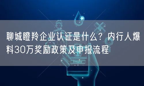 聊城瞪羚企业认证是什么,内行人爆料30万奖励政策及申报流程