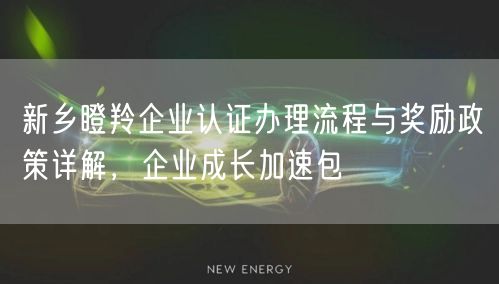 新乡瞪羚企业认证办理流程与奖励政策，企业成长加速包