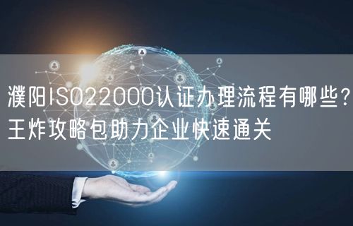 濮阳ISO22000认证办理流程有哪些,王炸攻略包助力企业快速通关