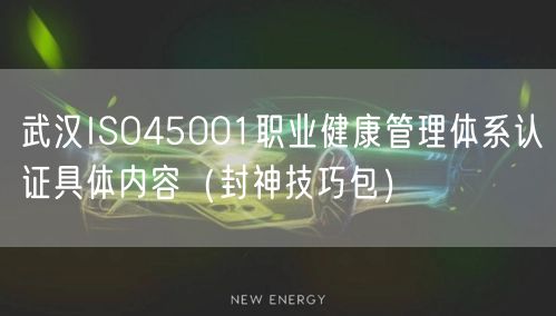 武汉ISO45001职业健康管理体系认证具体内容（封神技巧包）