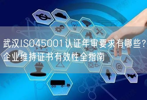 武汉ISO45001认证年审要求有哪些,企业维持证书有效性全指南