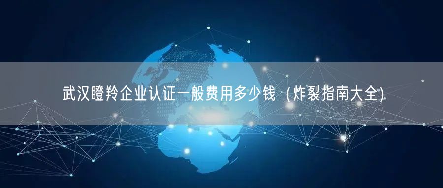 武汉瞪羚企业认证一般费用多少钱（炸裂指南大全）