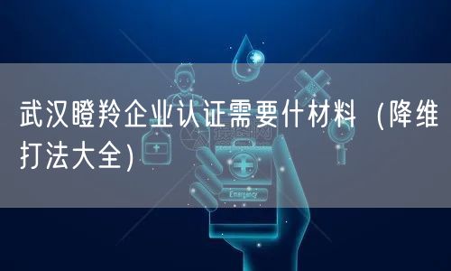 武汉瞪羚企业认证需要什材料（降维打法大全）