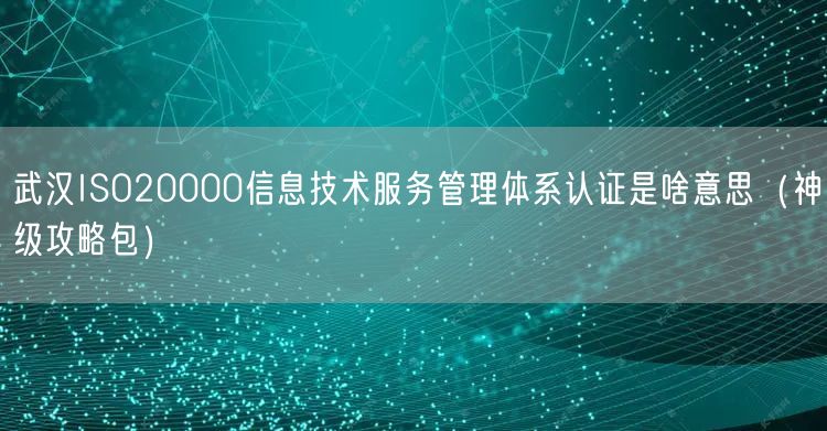 武汉ISO20000信息技术服务管理体系认证是啥意思（神级攻略包）