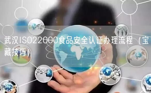 武汉ISO22000食品安全认证办理流程（宝藏技巧）