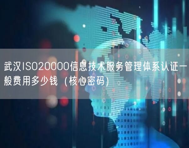 武汉ISO20000信息技术服务管理体系认证一般费用多少钱（核心密码）