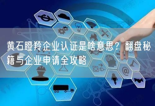 黄石瞪羚企业认证是啥意思,翻盘秘籍与企业申请全攻略