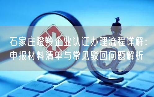 石家庄瞪羚企业认证办理流程,申报材料清单与常见驳回问题