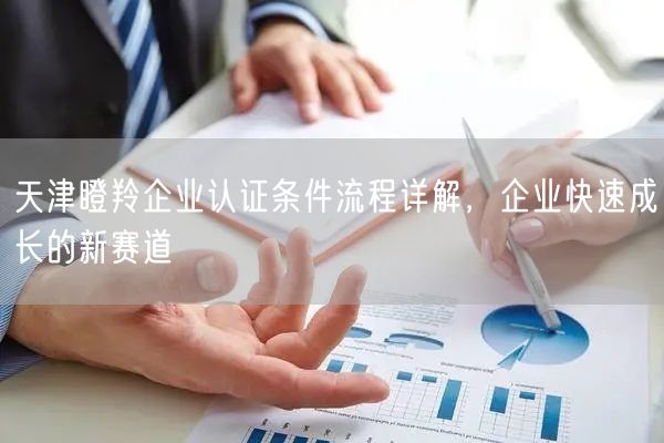 天津瞪羚企业认证条件流程，企业快速成长的新赛道