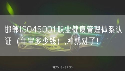 邯郸ISO45001职业健康管理体系认证（年审多少钱）,冲就对了！