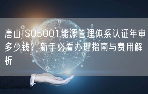 唐山ISO5001能源管理体系认证年审多少钱,新手必看办理指南与费用