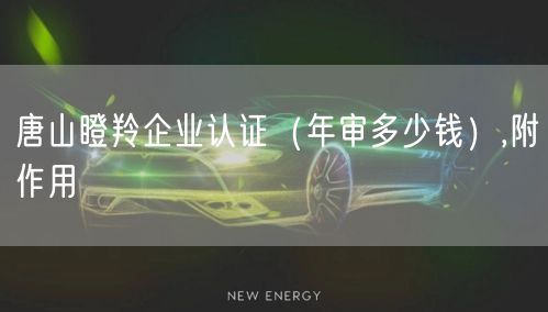 唐山瞪羚企业认证（年审多少钱）,附作用