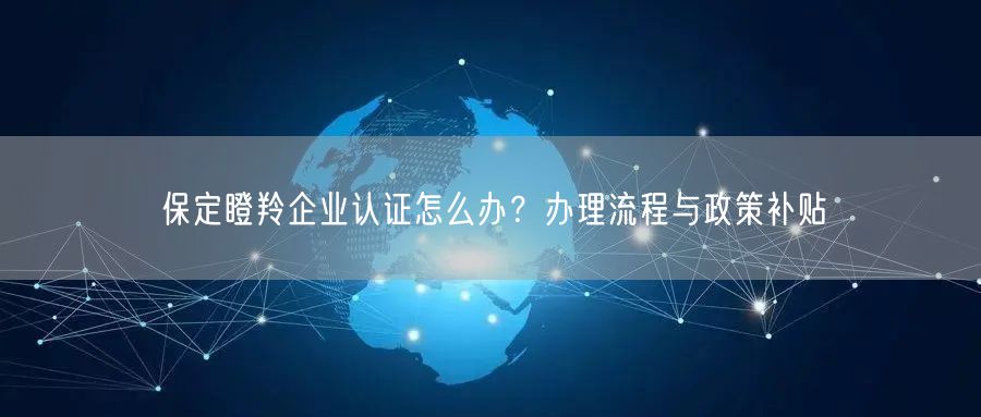保定瞪羚企业认证怎么办,办理流程与政策补贴