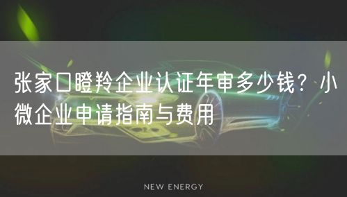 张家口瞪羚企业认证年审多少钱,小微企业申请指南与费用