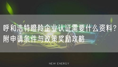 呼和浩特瞪羚企业认证需要什么资料,附申请条件与政策奖励攻略