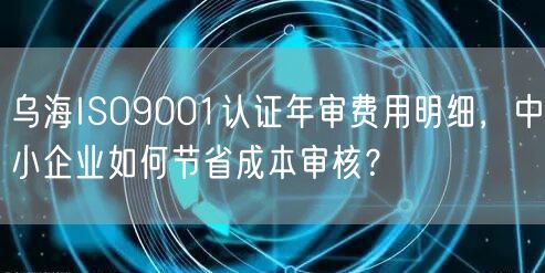 乌海ISO9001认证年审费用明细，中小企业如何节省成本审核,