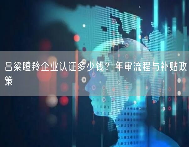 吕梁瞪羚企业认证多少钱,年审流程与补贴政策